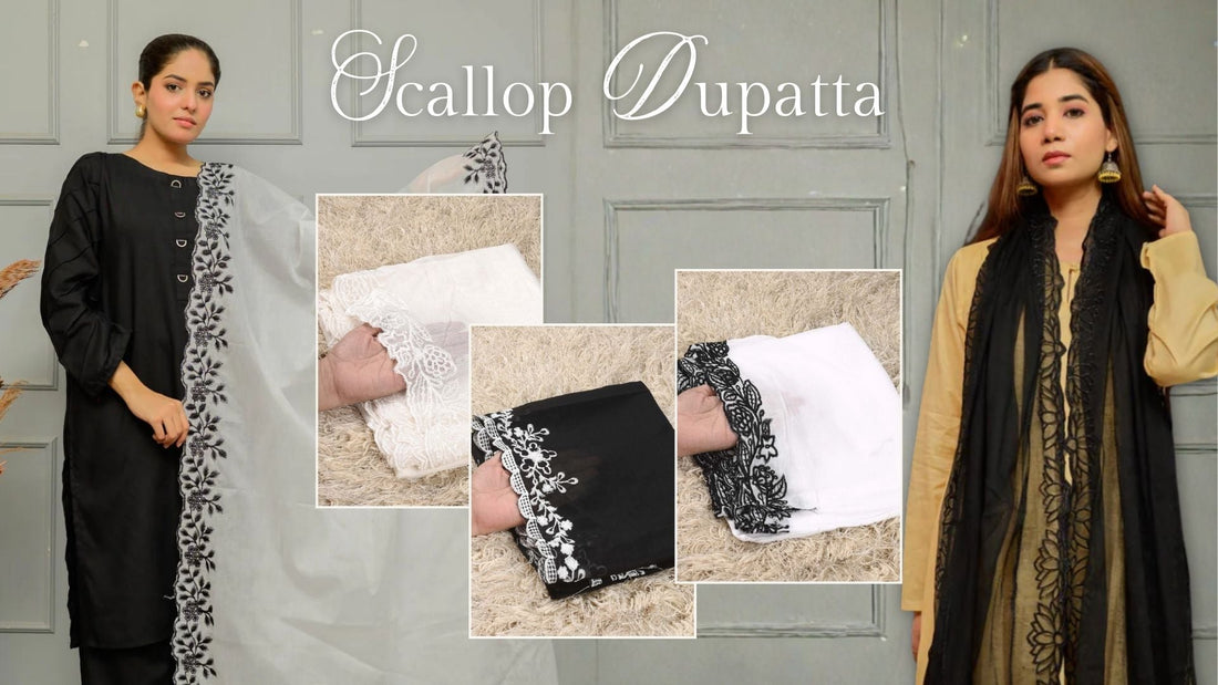 Scallop Dupatta – A Refined Choice for Contemporary Ethnic Wear